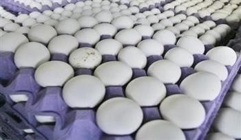 أسعار البيض الابيض اليوم 5-12-2021