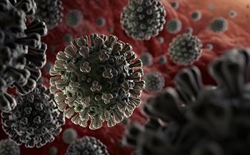 استشاري مناعة: أوروبا تسجل 2.5 مليون إصابة أسبوعيا بـ«كورونا»