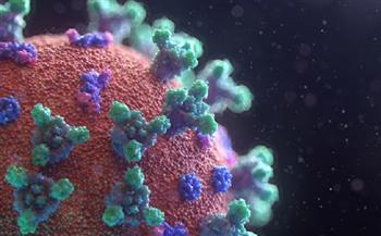 الهند تسجل 8 آلاف و306 إصابات جديدة بفيروس كورونا 