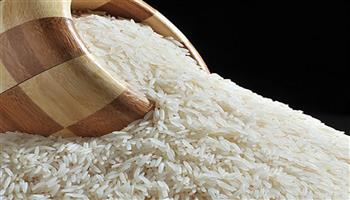 ارتفاع أسعار الأرز عالميا في مارس 2022.. والتموين: لدينا احتياطي يكفي 3 أشهر