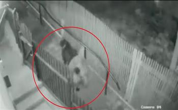 موقف يحبس الأنفاس.. شاب روسي يفاجأ بـ«دبين بنيين» على باب منزله (فيديو)