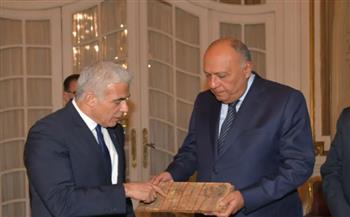 3 قضايا مصيرية على طاولة وزير الخارجية الإسرائيلي خلال زيارته لمصر