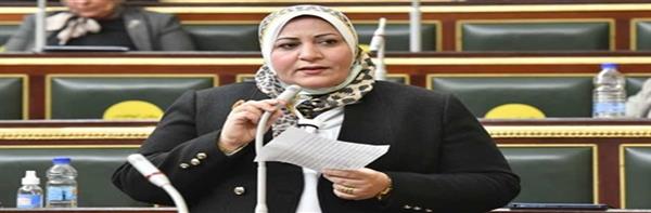 برلمانية  تأمين إحتياجات المصريين من الدواء قضية أمن قومي 
