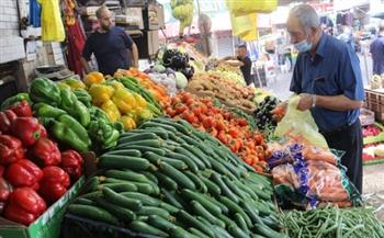 قبل رمضان.. تجار سوق العبور يكشفون لـ«دار الهلال» حقيقة أهمية المشروعات الزراعية في خفض الأسعار
