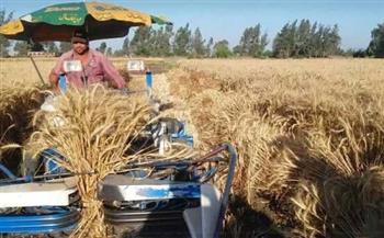 «زراعة دمياط»: حصاد 1700 فدان من محصول القمح بنطاق المحافظة