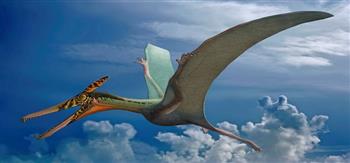 اكتشاف لغز قدرة الديناصورات الطائرة على تحمّل وزن رأسها وعنقها الكبيرين جداً