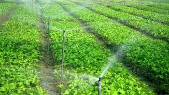 مليون فدان يتحول للرى الحديث فى المرحلة الأولى.. «الزراعة»: زيادة الإنتاجية وتوفير المياه أبرز فوائده