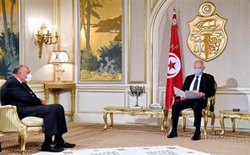 وزير الخارجية يسلم الرئيس التونسي رسالة من السيسي بشأن سد النهضة