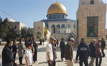 «الجيل» يدين الاعتداءات اليهودية على المسجد الأقصى