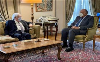 وزير الخارجية يؤكد موقف مصر الداعم للحل السياسي للأزمة اليمنية