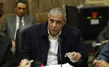   برماني : قمة السيسي - بن زايد ناجحة وتؤكد استمرار العلاقات الاستراتيجية بين القاهرة وأبو ظبى