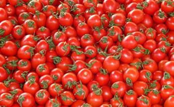 ارتفاع طفيف في الطماطم.. أسعار الخضار والفاكهة بسوق العبور اليوم 26-4-2021