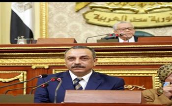 برلماني: زيارة ولي عهد أبوظبي لمصر تعكس عمق العلاقات بين البلدين