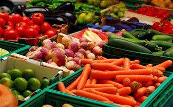 تعرف على أسعار الخضراوات والفاكهة اليوم 27 أبريل