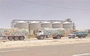 «زراعة دمياط»: حصاد 8 آلاف فدان من القمح وتوريد 1500 طن للمطاحن
