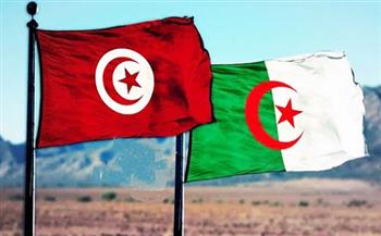 وزير السياحة التونسي يبحث مع نظيره الجزائري سبل تعزيز التعاون الثنائي