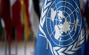 الأمم المتحدة تشيد بالجهود الوطنية للقضاء على  ختان  الإناث في مصر