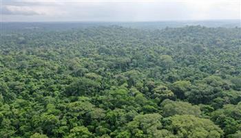 نيجيريا تخسر 97  من موارد الغابات بسبب الصيد الجائر
