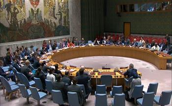الإمارات تؤكد أهمية تمثيل الصوت العربي خلال عضويتها في مجلس الأمن