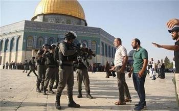 ماليزيا تدعو للضغط على إسرائیل من خلال منظمة التعاون الإسلامي بشأن فلسطین