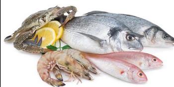 نصائح لشراء الأسماك الطازجة لسفرة العيد والأنواع المناسبة لكى تعرفى عليها
