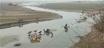 الهند: حالة من الذعر بعدما جرفت المياه نحو 40 جثة على ضفاف نهر الغانج