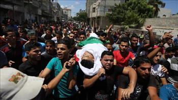 فلسطين: ارتفاع حصيلة الهجوم الإسرائيلي على قطاع غزة إلى 43 شهيدا بينهم 13 طفلا