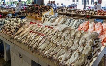 «البوري والرنجة» أكثر مبيعا في عيد الفطر.. و«الشعبة» تكشف موعد استئناف عمل محلات الأسماك