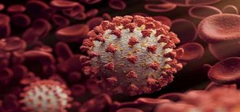 أفريقيا تسجل 4.6 مليون إصابة و126 ألف وفاة بفيروس كورونا
