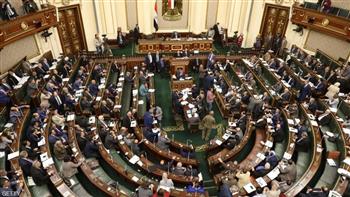 برلماني: القضية الفلسطينية تتصدر اهتمامات الدولة المصرية (خاص)