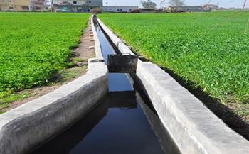 «معالجة مياه الصرف الزراعي».. خبراء: توفر مياه نقية خالية من الملوثات.. وتقلل الفاقد من المياه