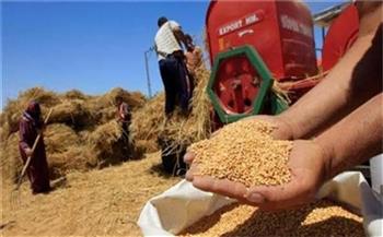 وزير الزراعة: حصاد 1.2 مليون فدان قمح وتوريد مليون طن حتى الآن