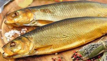 استشاري تغذية علاجية يضع روشتة لتناول الأسماك المملحة في شم النسيم 