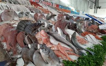 أسعار الأسماك اليوم الخميس 20-5-2021