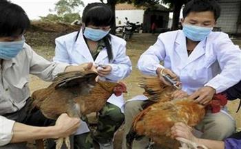 الصين تعلن عن تفش جديد لإنفلونزا الطيور في منطقة التبت
