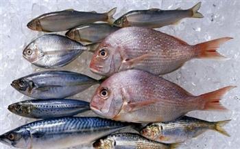 استقرار أسعار الأسماك اليوم الجمعة 21-5-2021