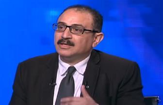 أستاذ علوم سياسية: القاهرة محور الارتكاز فى الهدنة بين فلسطين وإسرائيل
