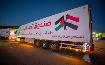 الرئيس السيسي يأمر بتوجيه أضخم قافلة مساعدات إلى غزة دعما للشعب الفلسطيني (صور وفيديو)