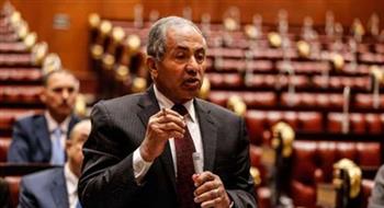 برلماني: مصر لديها رؤية واضحة لكيفية حل الصراعات بالشرق الأوسط