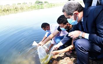محافظ الغربية يشهد إلقاء 4 ملايين زريعة سمك في قناة طنطا الملاحية 