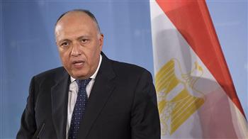 وزير الخارجية ونظيره القطري يبحثان التطوير الإيجابي لعلاقات البلدين