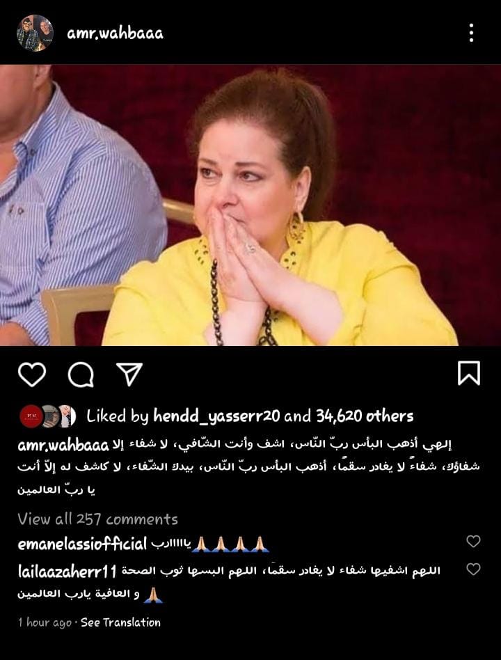 عمرو وهبة