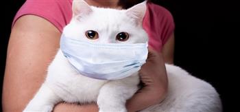 روسيا تبدأ تطعيم الحيوانات الأليفة ضد فيروس كورونا باللقاح الوحيد المخصص