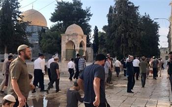 عشرات المستوطنين يقتحمون المسجد الأقصى.. واعتقال 11 فلسطينيا