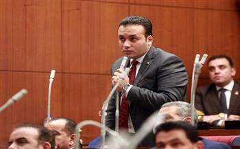 «برلمانى»: أمريكا تدرك جيدًا دور مصر الريادى والمحورى تجاه حل القضايا الدولية والإقليمية 