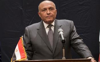 وزير الخارجية يكشف محاور رؤية مصر لحل القضية الفلسطينية