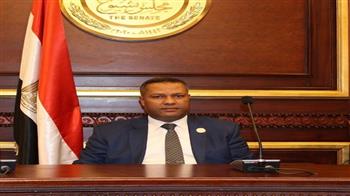 عضو بالشيوخ: زيارة بلينكن للقاهرة واتصال بايدن بالرئيس السيسي دليل على ثقل مصر