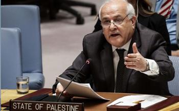  مراقب فلسطين بالأمم المتحدة: إسرائيل فشلت في هزيمة وعي شعبنا