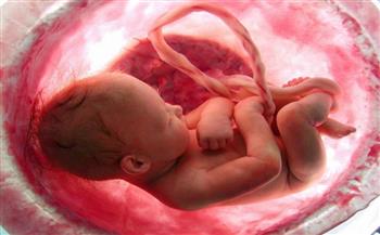 ما حكم إجهاض الجنين فى الشهر السادس بناءً على تقرير طبى؟.. الإفتاء تجيب