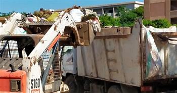 رفع 45 طنًا من القمامة فى كوم أمبو خلال يوم واحد 